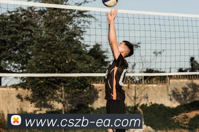 彩神争霸平台生态图